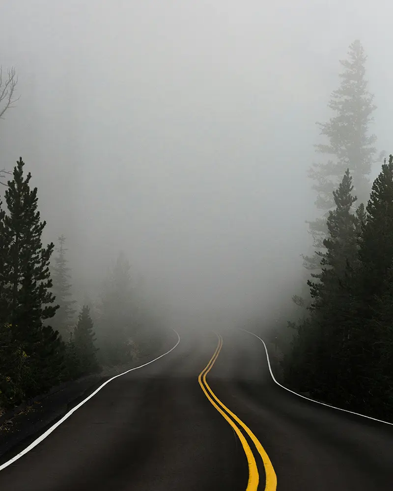 Highway disappearing into dense fog